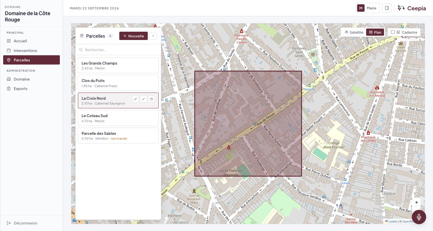 Parcelles : chaque îlot tracé sur la carte, avec son cépage et sa surface